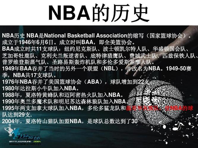 生涯与公牛